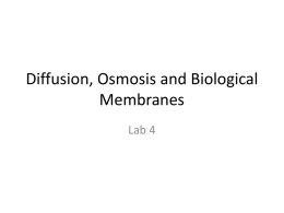 Diffusion, Osmosis and Biological Membranes