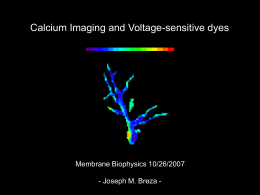 Calcium Imaging and Voltage