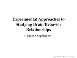 Methods for Studying Brain/Behavior Relationships