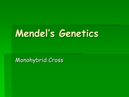 Mendel’s Genetics