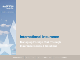 Managing Foreign Risk Through Insurance Issues & Solutions