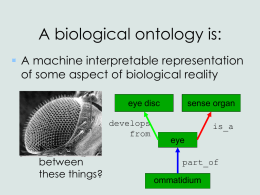 Image Ontologies - bioontology.org