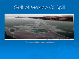 Gulf of Mexico Oil Spill - Mrs. DeNicola's Science Corner