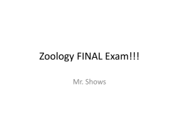 Zoology Final Exam!!!