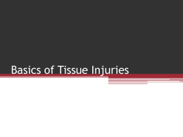 Basics of Tissue Injuries - Doral Academy High School