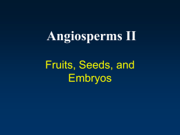 Angiosperms II - University of Nebraska Omaha