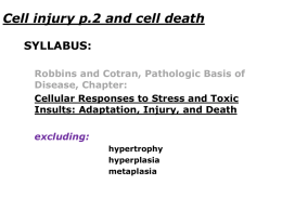 Hemodynamic disorders p.1