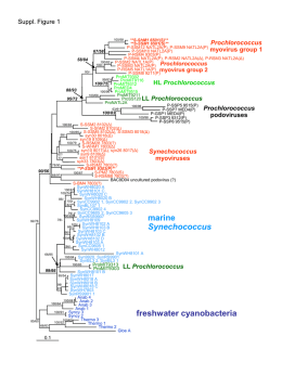 Suppl. Figure 1