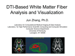 DTI-Based White Matter Fiber Analysis and Visualization
