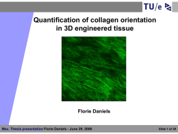 Quantification of collagen orientation in 3D engineered tissue