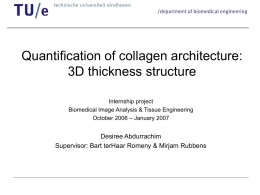 Quantification of collagen architecture 3D thickness structure