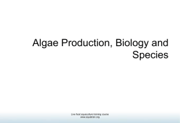 Algae Production, Biology and Species