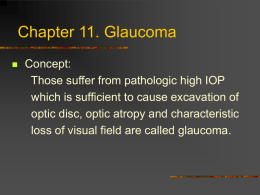Chapter 11 Glaucoma Primary Open Angle Glaucoma