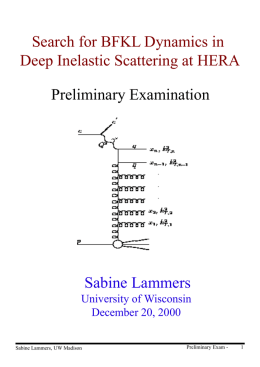 Preliminary Examination