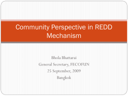 Community Perspective in REDD Mechanism