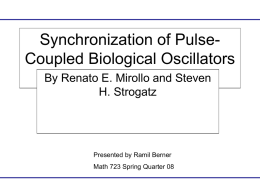 Synchronization of Pulse-Coupled Biological Oscillators