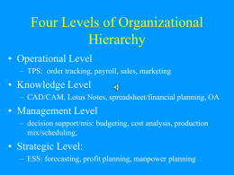 Four Levels of Organizational Hierarchy