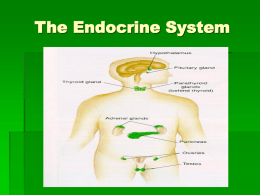 The Endocrine System - Universidad Nacional de Quilmes