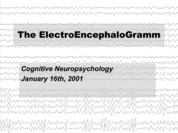 The History of the EEG - uni