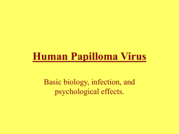 Human Papilloma Virus - EvergreenStateCollege-Home