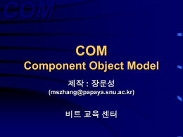 COM Component Object Model