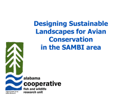 Designing Sustainable Landscapes for Avian Conservation in