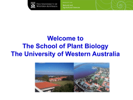 Welcome to The School of Plant Biology The University of