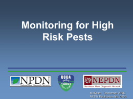 Monitoring for High Risk Pests