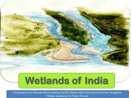 Wetlands of India - India Water Portal