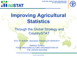 CountrySTAT for SSA