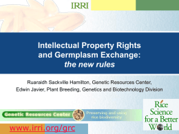 Intellectual Property Rights and Germplasm Exchange: the