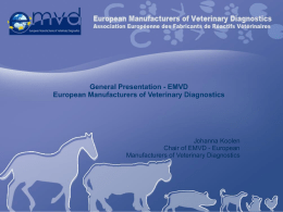 Presentation on the activities of the EMVD