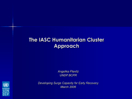 The IASC Humanitarian Cluster Approach