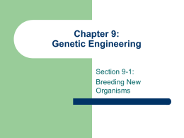 Chapter 9 (and Section 8-4): Genetic Engineering