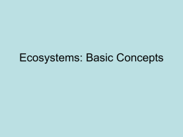Ecosystems: Basic Concepts - Nursing PowerPoint Presentations