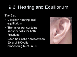 9.6 Hearing and Equilibrium