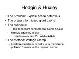 Hodgin & Huxley