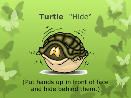 Turtle 'Hide“