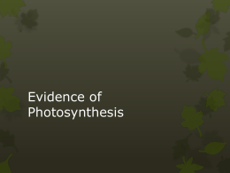 Evidence of Photosynthesis - Mrs. Basepayne's Science Spot