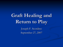 Graft Healing and Return to Play