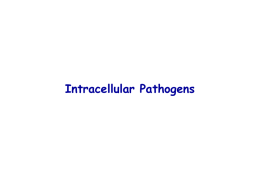 Microbial Pathogenesis-CCMD 793 I Nyles Charon