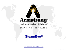 SteamEye - Armstrong International