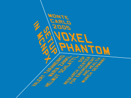 Voxel Phantom Setup in MCNPX