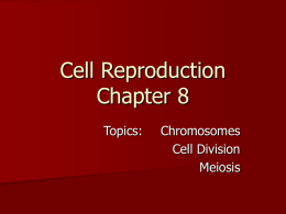 Cell Reproduction Chapter 8