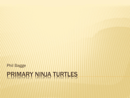 Primary Ninja Turtles Logo in KS2