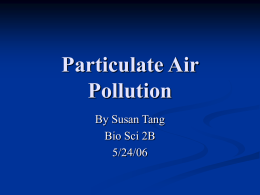 Particulate Air Pollution