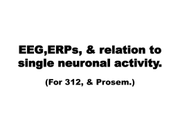 EEG,ERPs, & relation to single neuronal activity.