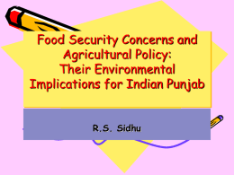 Agricultural Policy, Growth and Constraints in Punjab