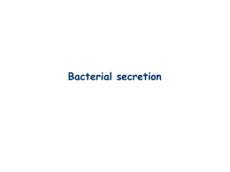 Design and Function of Bacterial Toxins