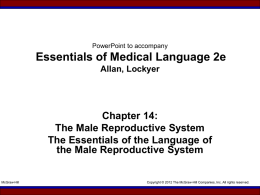PowerPoint to accompany Essentials of Medical Language 2e